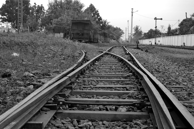 desempenho ferramento colaborador tecnologia desenvolvimento treinamento