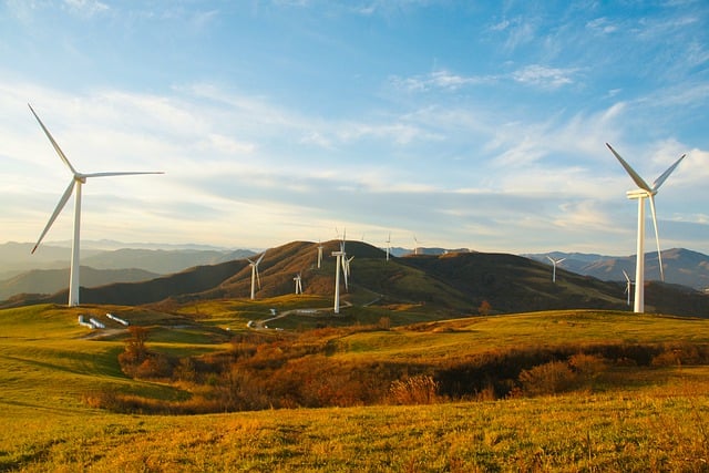 sustentvel inovao tecnologia empreendedor