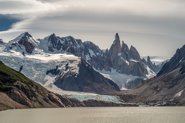 patagonio organizacional funcionrio zappo