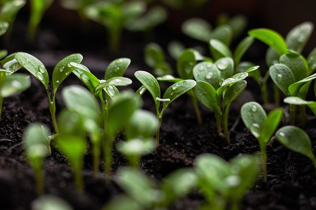 sustentabilidade sustentvel empresa diversidade inclusivo