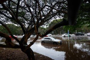 Temporal Causa Alagamentos E Derruba Árvore No Distrito Federal